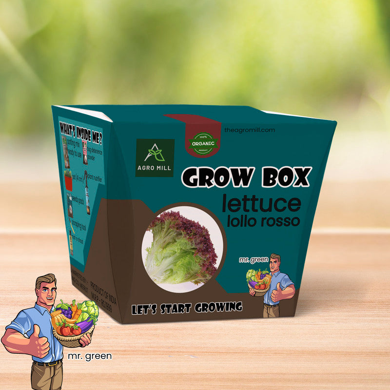 Lettuce Luxe: Lollo Rosso Edition Grow Box