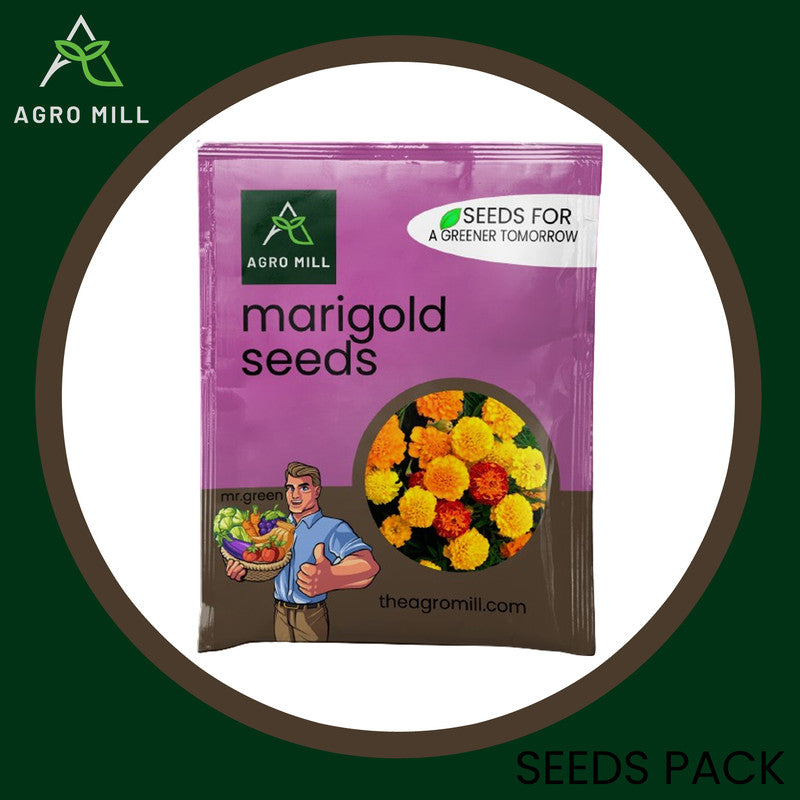 Marigold Majesty: Grow Box Edition