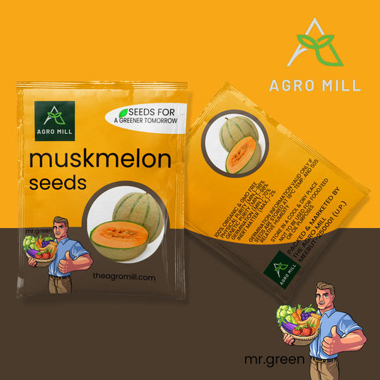 Muskmelon | Kharbooza | Fruit Seeds for Home Garden | Farming | Open Pollinated | 100% Organic | Non Gmo | 3 Gm.