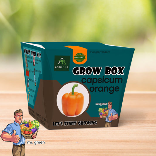 Orange Capsicum Grow Box - Everything You Need to Grow Delicious Bell Peppers