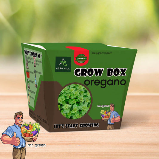 Green Heaven: Oregano Herb Grow Box