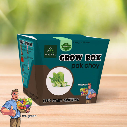 Greens Galore: Your Personal Pak Choy Grow Box