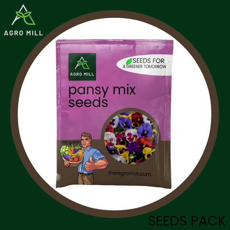 Colorful Canvas: Pansy Mix Grow Box