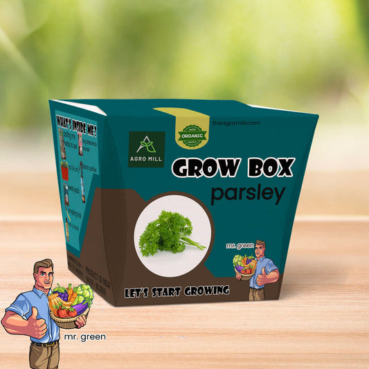 Fresh Sprout Haven: Your Personal Parsley Grow Box