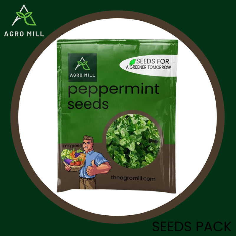 Peppermint Haven: Grow Your Own Fresh Mint