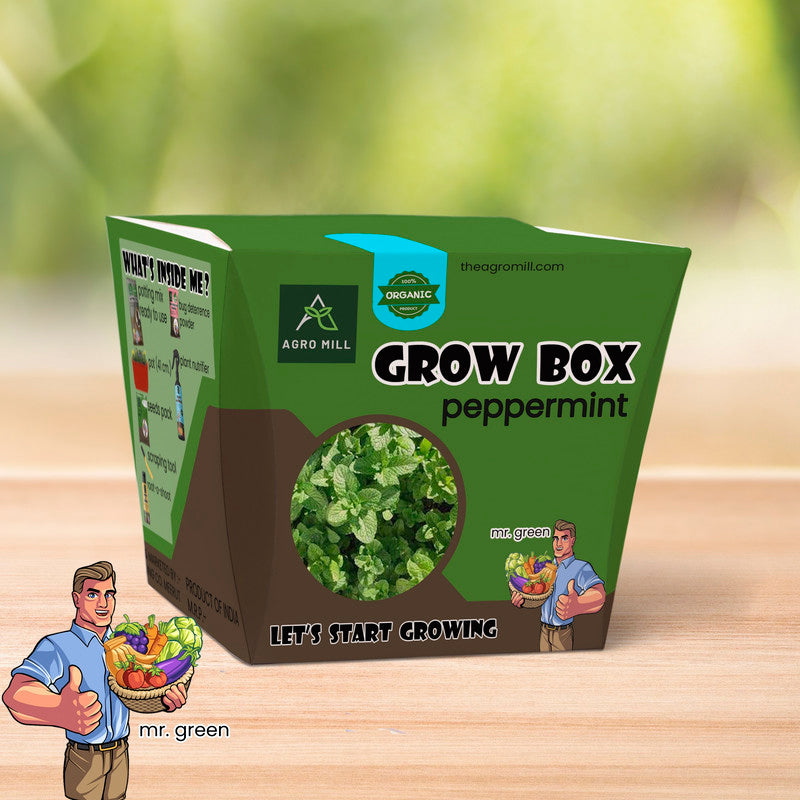 Peppermint Haven: Grow Your Own Fresh Mint