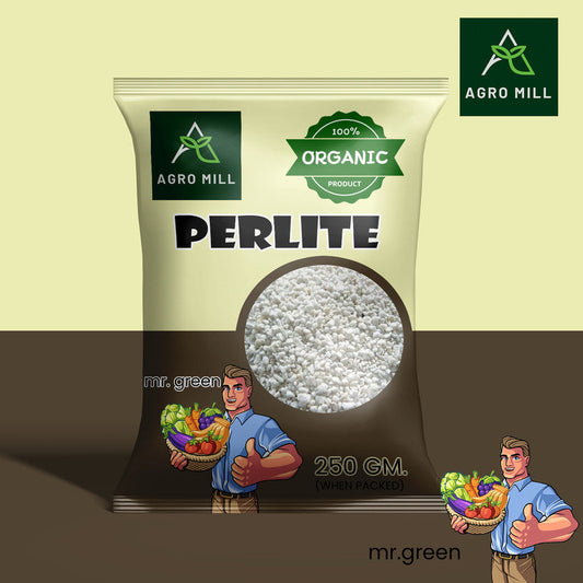 Perlite: Enhancing Plant Growth and Soil Health Naturally