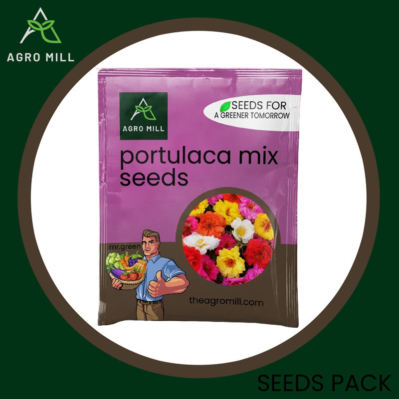 Vibrant Trails: Portulaca Mix Grow Box