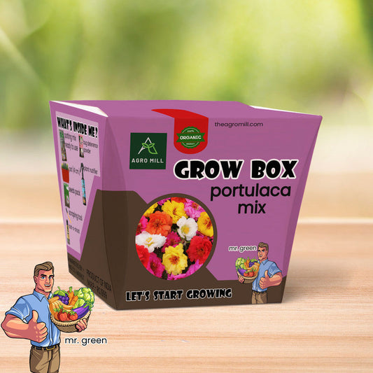 Vibrant Trails: Portulaca Mix Grow Box