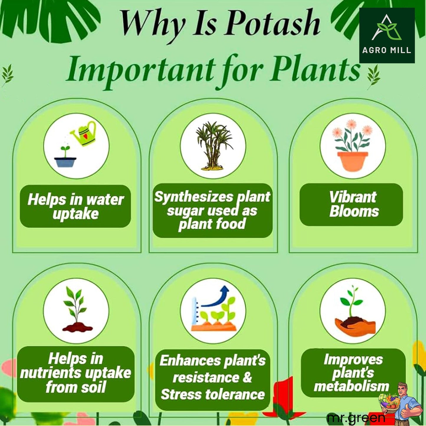 Bio Potash Meal: Natural Nutrient For Vigorous Plant Growth