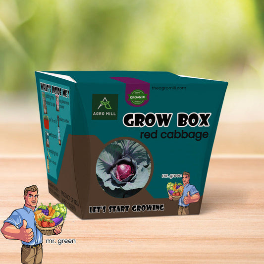 Red Cabbage Grow Box - Everything You Need to Grow Delicious Red Cabbages