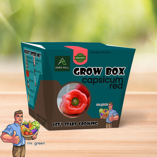 Red Capsicum Grow Box - Everything You Need to Grow Delicious Bell Peppers