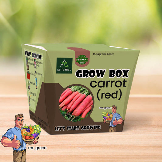 Red Carrot Sanctuary: The Ultimate Laal Gajar Grow Box