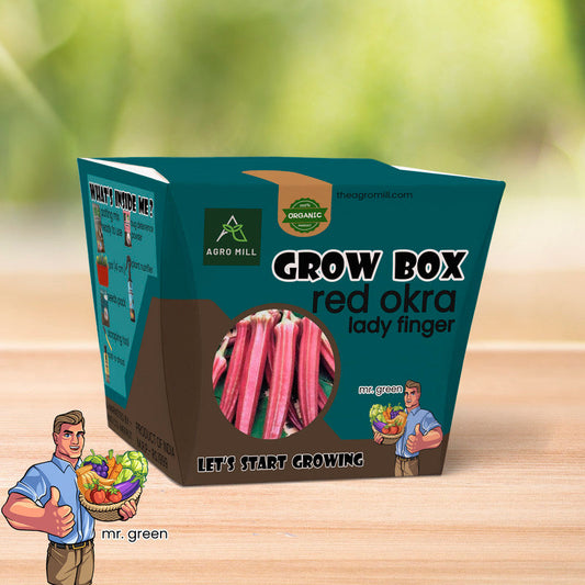 Red Lady Finger Grow Box - Everything You Need to Grow Unique Okra