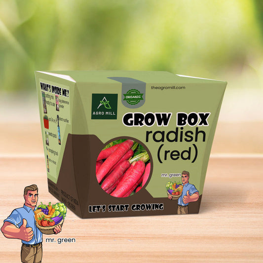 Red Radish Haven: The Premier Laal Mooli Grow Box