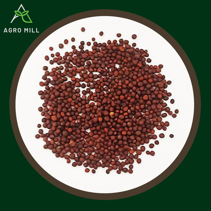 Turnip Red | Laal Shaljam  | Vegetable Seeds for Home Garden | Farming | Open Pollinated | 100% Organic | Non Gmo | 10 Gm.