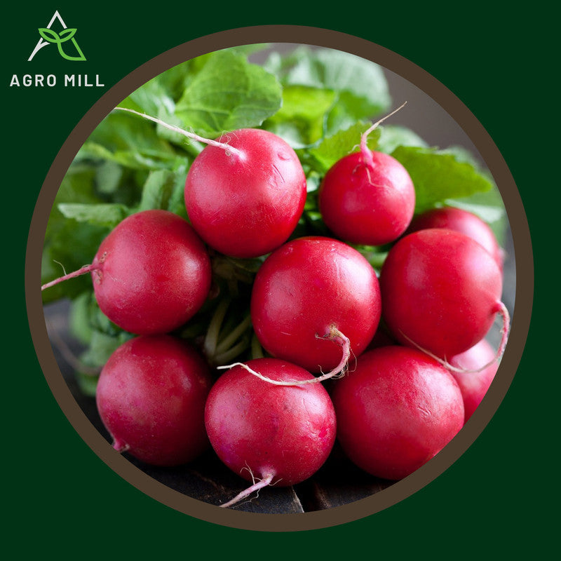 Turnip Red | Laal Shaljam  | Vegetable Seeds for Home Garden | Farming | Open Pollinated | 100% Organic | Non Gmo | 10 Gm.