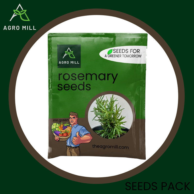 Rosemary Heaven: Your Personal Herb Grow Box