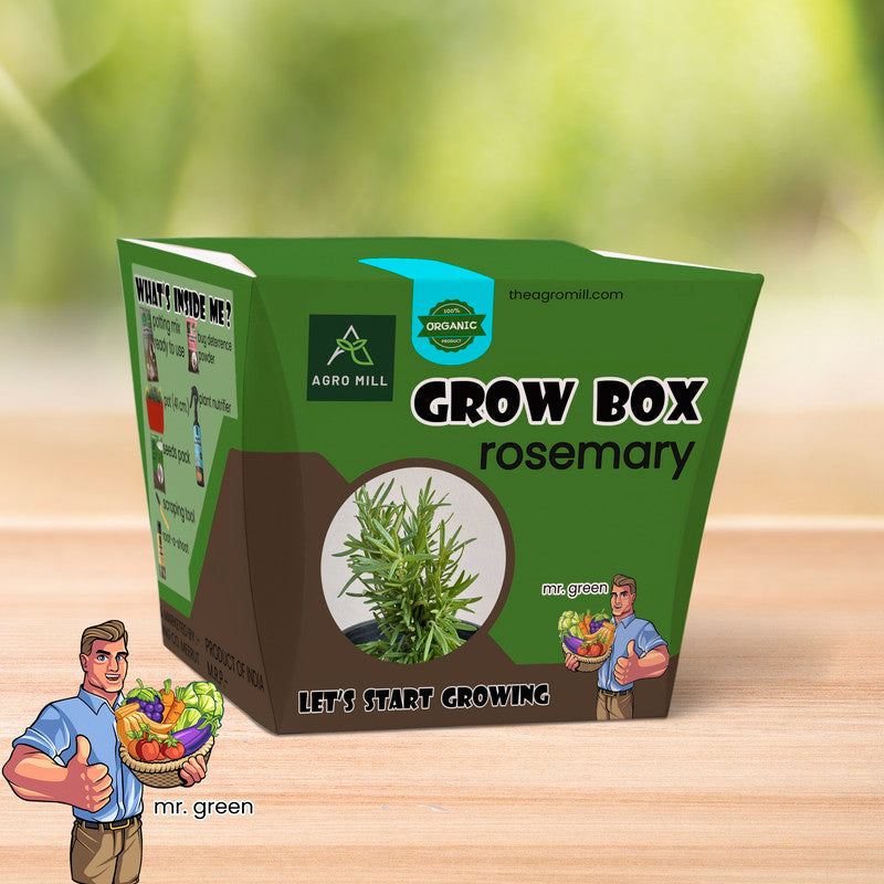 Rosemary Heaven: Your Personal Herb Grow Box