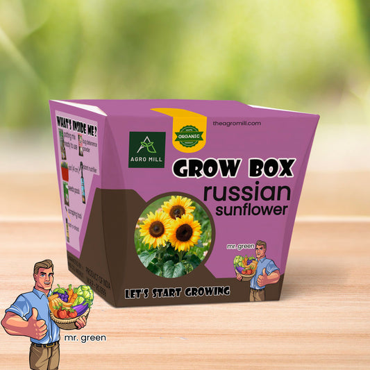 Sunshine Fields: Russian Sunflower Grow Box