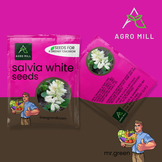 Salvia White | Flower Seeds for Home Garden | Open Pollinated | 100% Organic | Non Gmo | 180-200 SEEDS