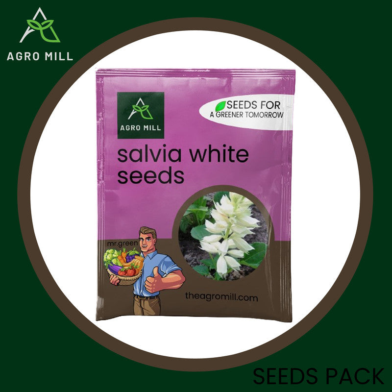 Snowy Serenity: Salvia White Grow Box