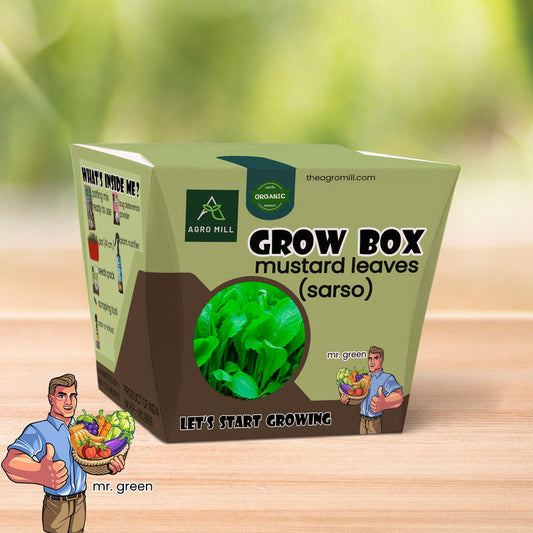 Mustard Leaves Meadows: Your Ultimate Grow Box for Sarso