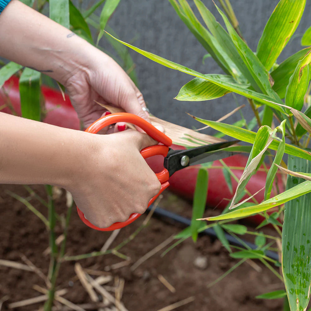 Heavy Duty Gardening Scissors: PowerCut - 2PC.