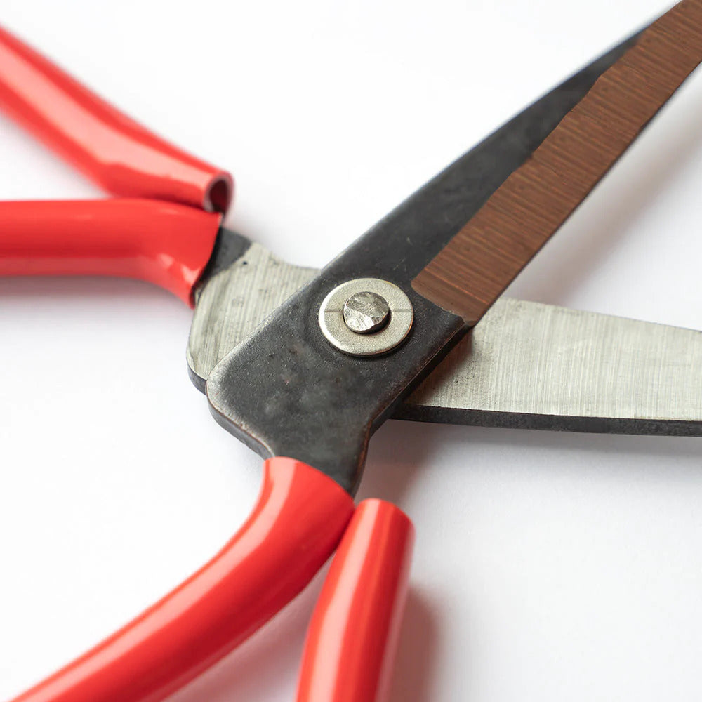 Heavy Duty Gardening Scissors: PowerCut