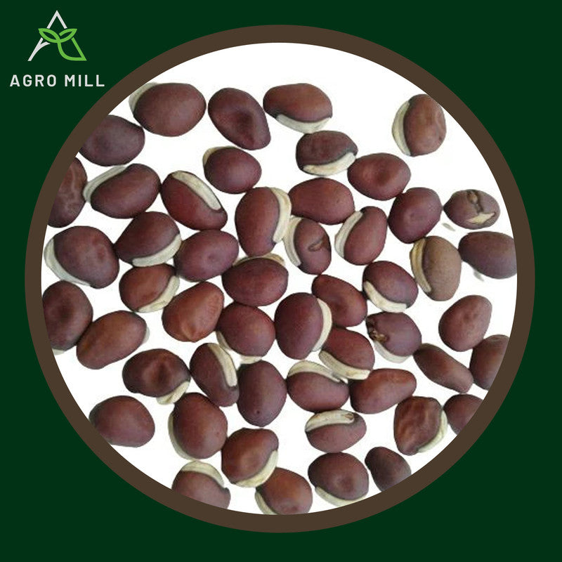 Lima Beans | Sem Phali | Vegetable Seeds for Home Garden | Farming | Open Pollinated | 100% Organic | Non Gmo | 10 GM.