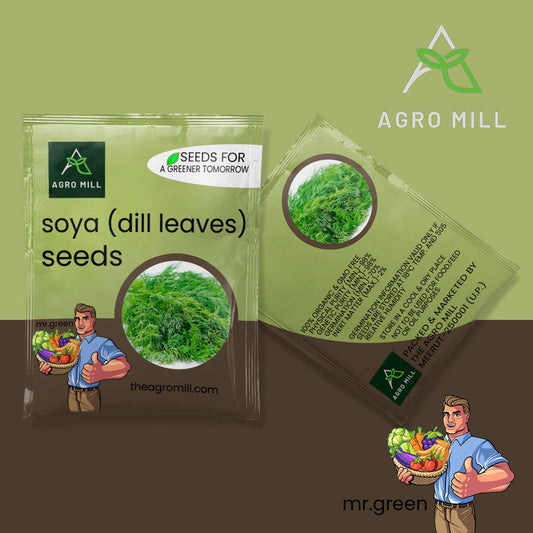 Dill Leaves | Suwa | Soya | Vegetable Seeds for Home Garden | Farming | Open Pollinated | 100% Organic | Non Gmo