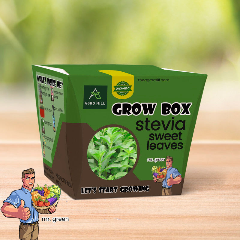 Sweet Greens: Your Stevia Herb Grow Box