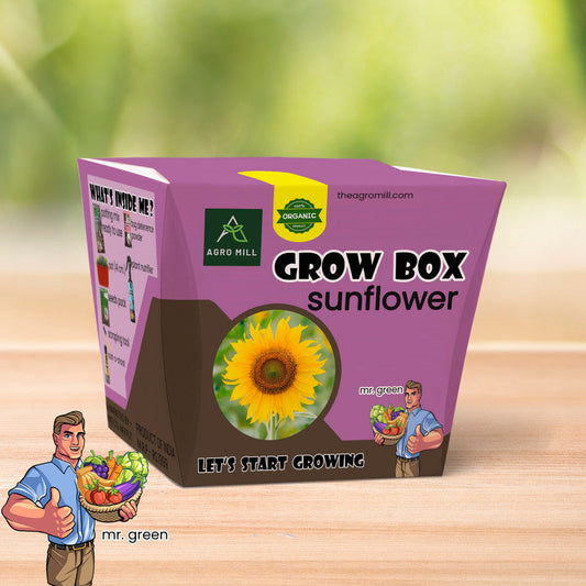 Sunshine Fields: Sunflower Grow Box