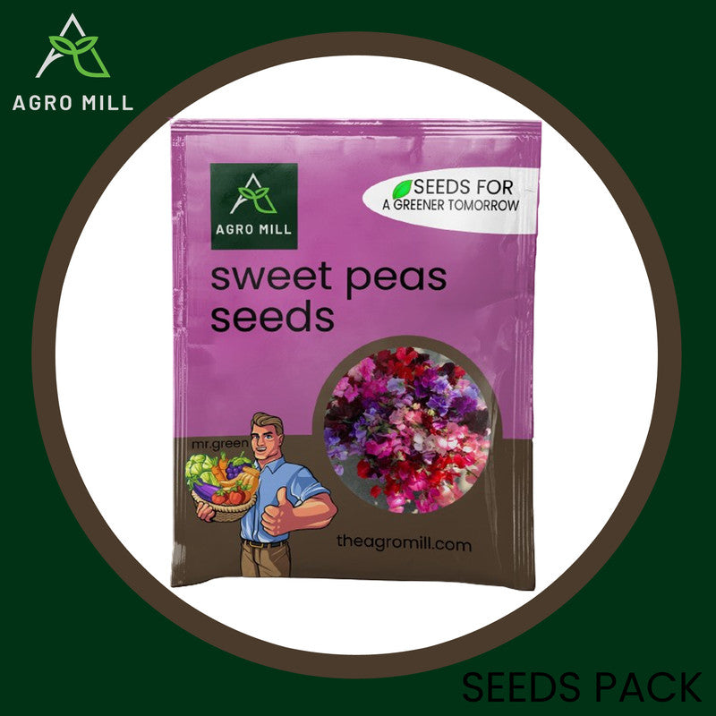 Fragrant Cascades: Sweet Peas Grow Box