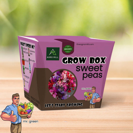 Fragrant Cascades: Sweet Peas Grow Box