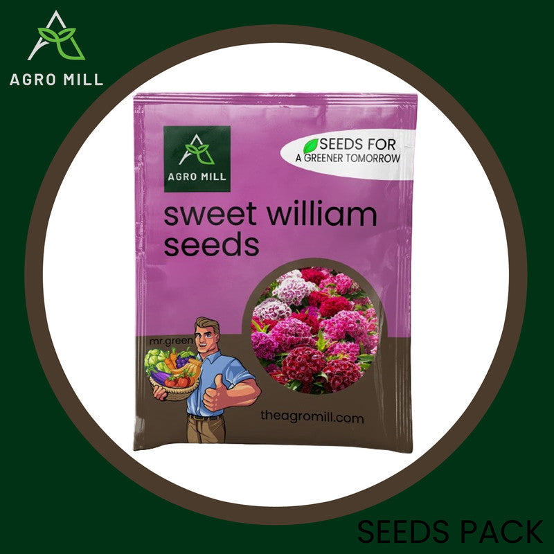 Whimsical Charm: Sweet William Mix Grow Box