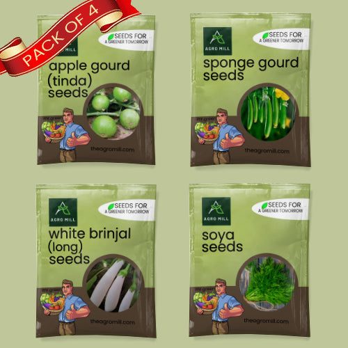 Vegetable Seeds Combo | Soya | White Brinjal Long | Sponge Gourd | Apple Gourd | 100% Organic | Non Gmo