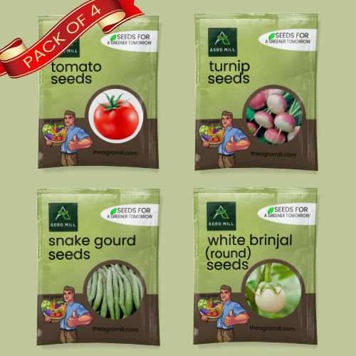 Vegetable Seeds Combo | Turnip | White Brinjal Round | Tomato | Snake Gourd | 100% Organic | Non Gmo