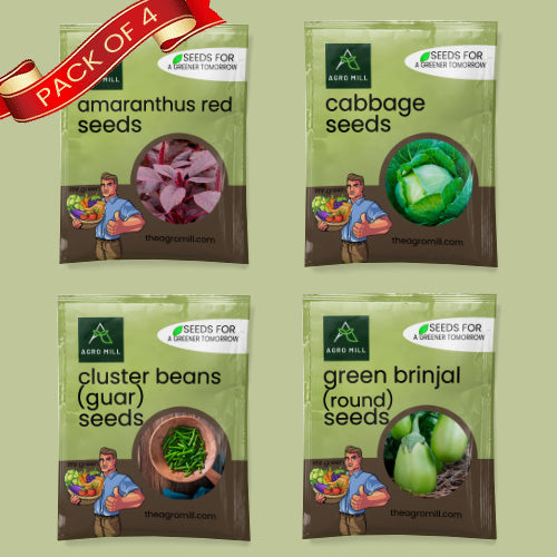 Vegetable Seeds Combo | Amaranthus Red | Cabbage | Cluster Beans | Green Round Brinjal | 100% Organic | Non Gmo