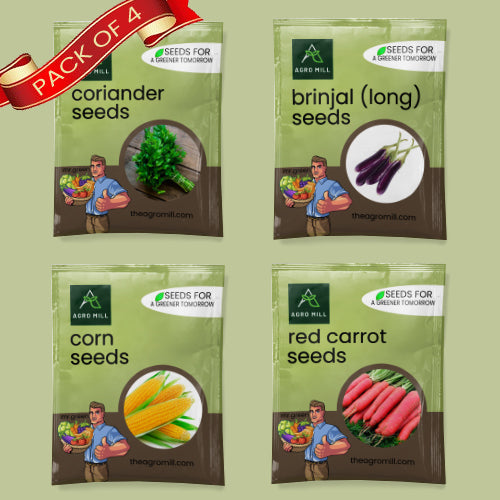 Vegetable Seeds Combo | Coriander | Red Carrot | Corn | Brinjal Long | 100% Organic | Non Gmo