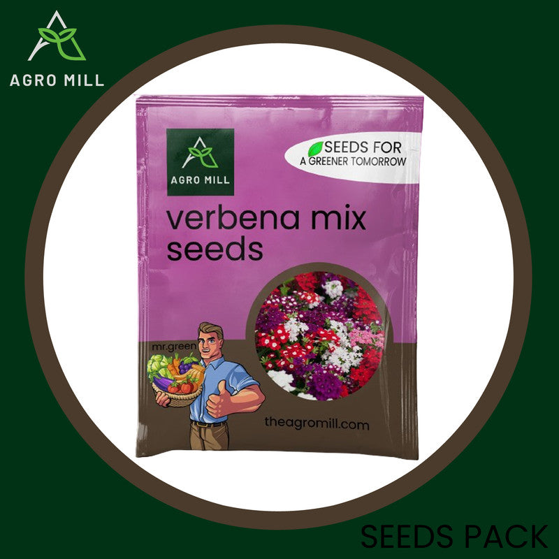 Verdant Vibes: Verbena Mix Grow Box