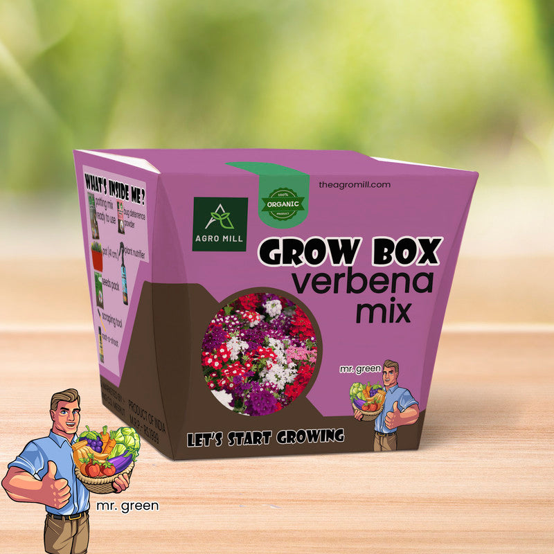 Verdant Vibes: Verbena Mix Grow Box