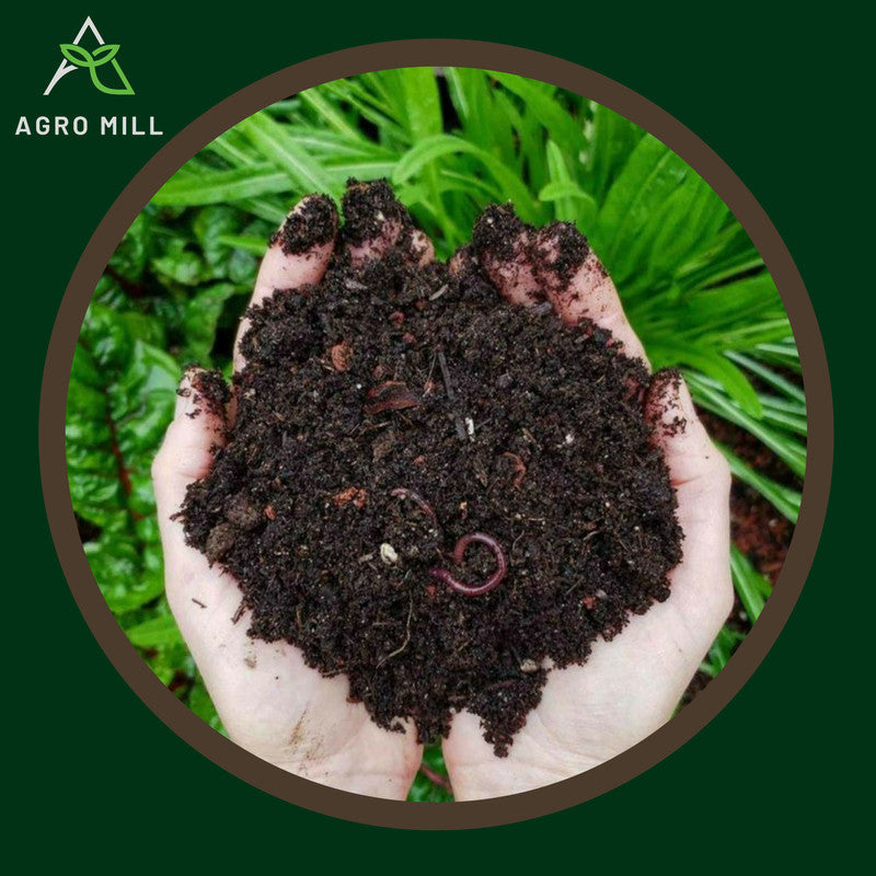 Vermicompost: Nature's Nutrient-Rich Soil Booster-5Kg.