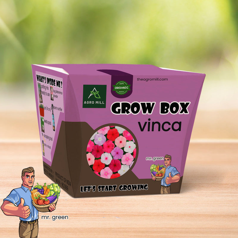 Blooming Trails: Vinca Grow Box