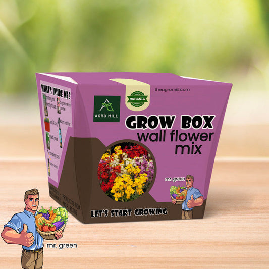 Scented Cascades: Wallflower Mix Grow Box