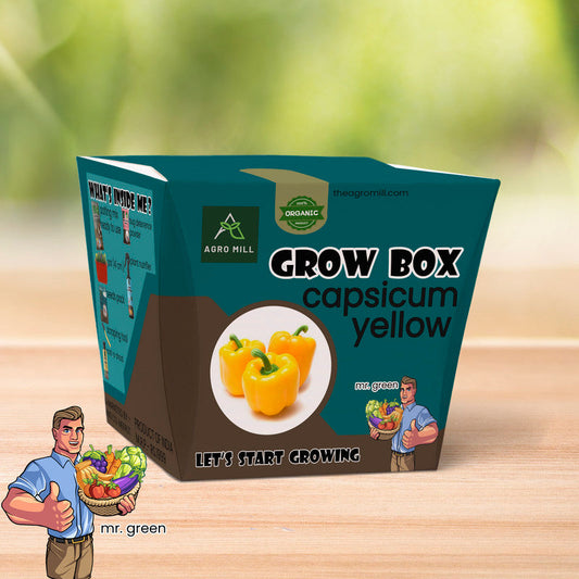 Yellow Capsicum Grow Box - Everything You Need to Grow Delicious Bell Peppers