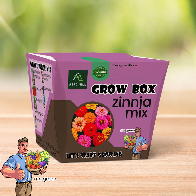 Rainbow Meadows: Zinnia Mix Grow Box