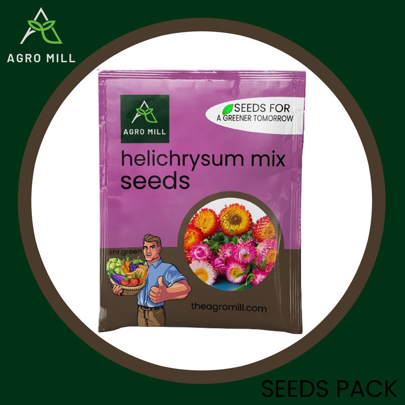 Eternal Blossoms: Helichrysum Mix Grow Box