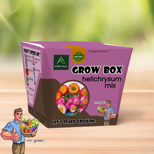 Eternal Blossoms: Helichrysum Mix Grow Box